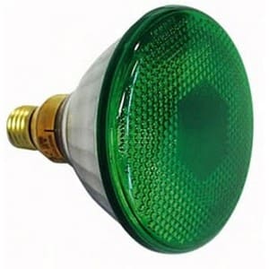 GE Par 38 lamp, E27, 80W, Flood, Groen Par 38 lampen J&H licht en geluid
