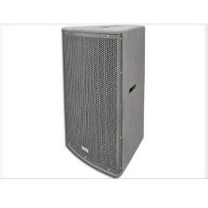 SYNQ RS-15 Speaker Cabinet 600W RMS, 8 Ohm Full-range luidsprekers J&H licht en geluid