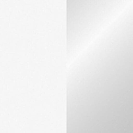 Showtec Handheld confetti kanon (50 cm) – wit / zilver Draagbare confetti-kanonnen J&H licht en geluid 2