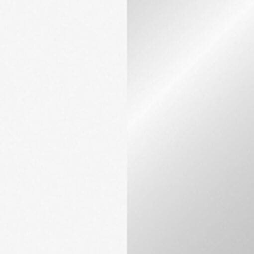 Showtec Handheld confetti kanon Pro (80 cm) – wit / zilver Draagbare confetti-kanonnen J&H licht en geluid 2