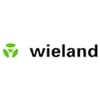 Wieland 3-aderige patchkabel, 50 cm _Uit assortiment J&H licht en geluid 3